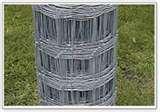 Steel Fences Height pictures