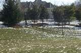 photos of Steel Fences Ornamental