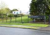Steel Fencing Auckland