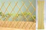 Steel Fencing Taiwan pictures