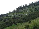 photos of Steel Fences Pictures