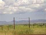 pictures of Steel Fencing Cyprus