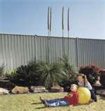 Steel Fencing Geraldton images