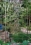 photos of Stainless Steel Fences And Gates