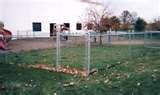 Steel Fences Chain Link photos