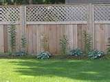 Steel Fencing Poles photos