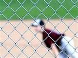 pictures of Steel Fencing Sport