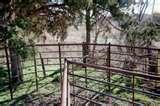 Steel Fencing Pasture