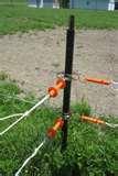 Steel Fencing Pasture images