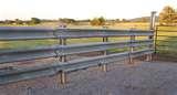 photos of Steel Fencing Pasture
