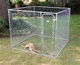 Steel Fencing Dog Runs