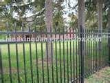 pictures of Steel Fencing Frame