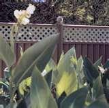 Steel Fencing Az images