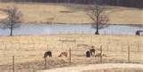 Steel Fencing Missouri