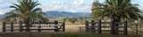 pictures of Steel Fencing Tamworth