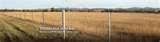 photos of Steel Fencing Tamworth