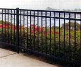 pictures of Steel Fencing Styles