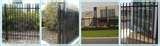 pictures of Steel Fencing Campbellfield
