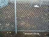 pictures of Steel Fences Dogs