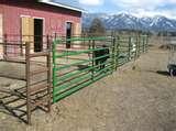 Steel Fencing Montana photos