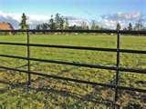 photos of Black Steel Fence