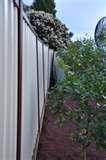 images of Colorbond Fence