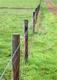 Galvanized Steel Fence Posts pictures