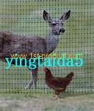 Steel Wire Fence photos