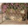 photos of Stainless Steel Fencing