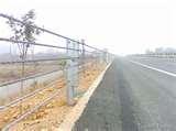 pictures of Steel Wire Fencing