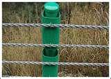 photos of Steel Cable Fence