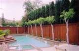 Steel Privacy Fence images