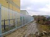 Steel Fencing Products pictures