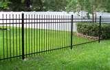 Fences Steel images