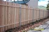 Fence Steel Posts pictures