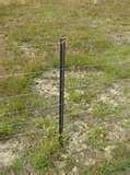 Fence Steel Posts pictures