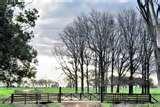 photos of Steel Fence And Gates