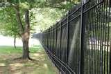 images of Steel Fence 42-inch