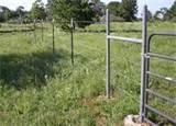 Steel Fence Braces pictures