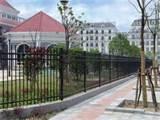 Pictures of Steel Fence China