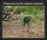 Steel Fence Droppers Images