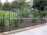 Pictures of Steel Fence Garden