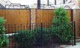 Photos of Steel Fence Home